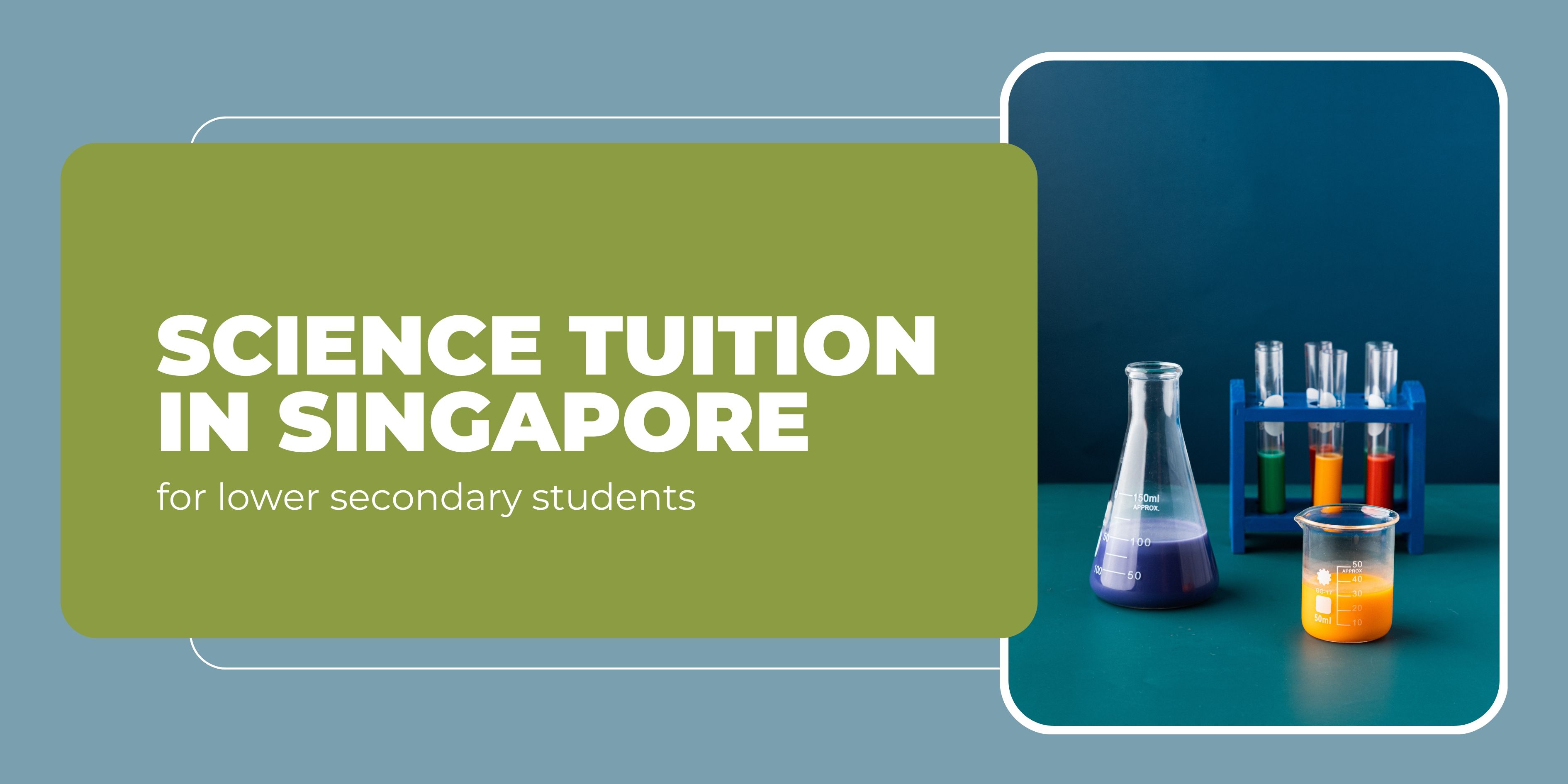 Blue Modern Online Course Banner(3).jpg