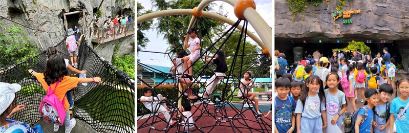 KinderBridge5.jpg