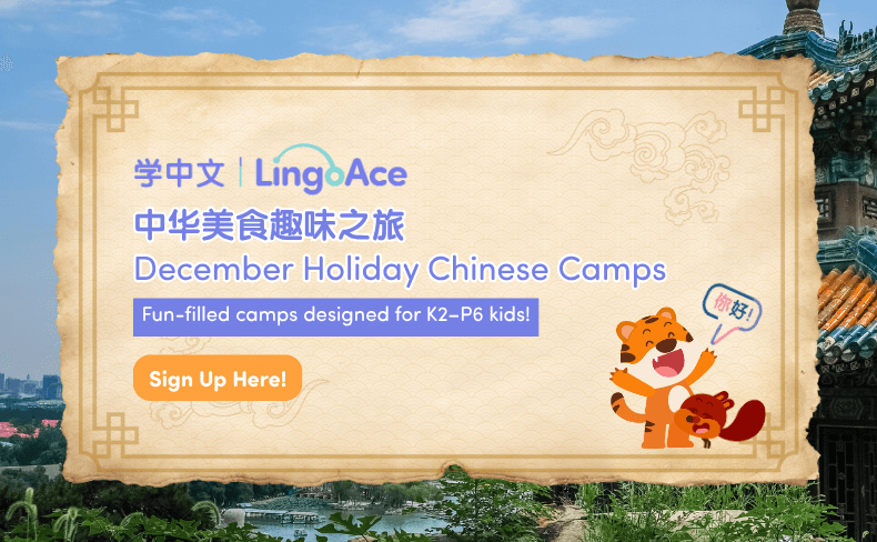 LingoAce_Year End 2025.png