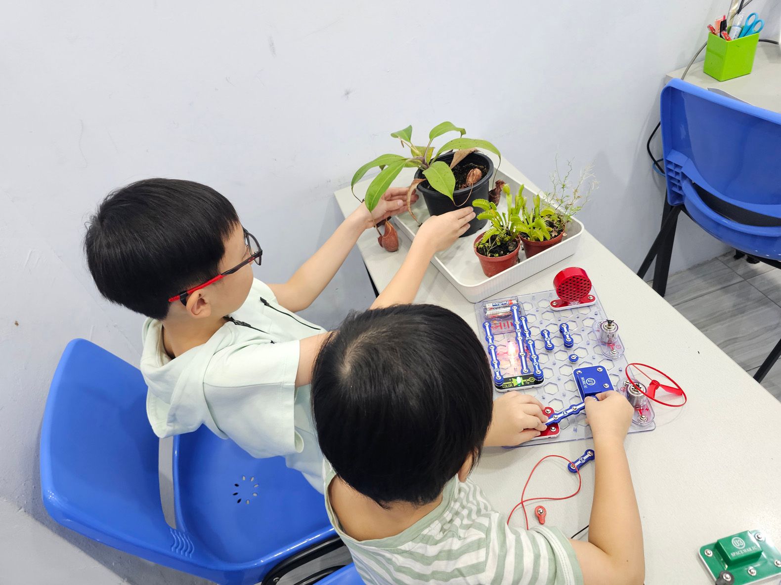 Mind Learning Cove Sci Pic 1.jpg