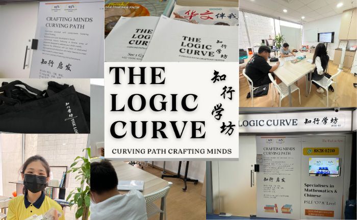 The Logic Curve.jpg