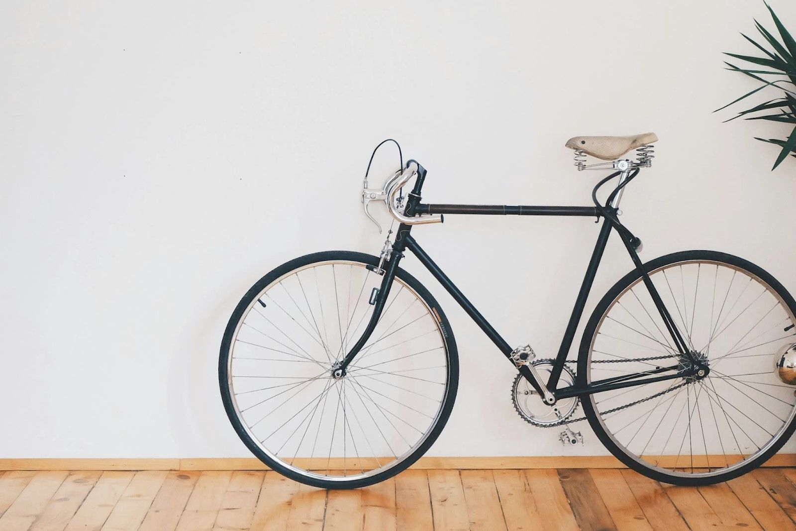 bicycle.jpg