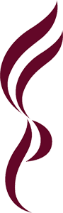 primary school logo